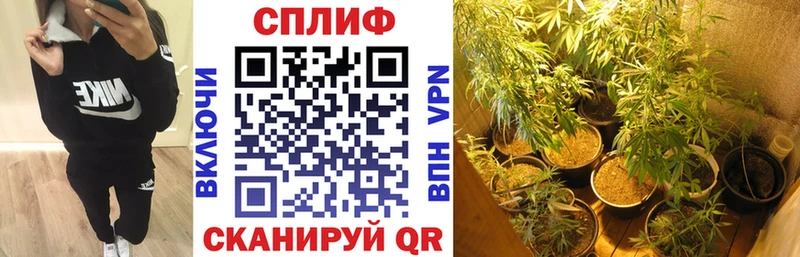 что такое Олонец darknet Telegram Бошки марихуана Amnesia